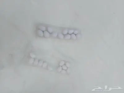 بيض الدجاج الصناعي 1