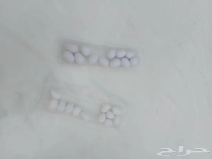 بيض الدجاج الصناعي 1
