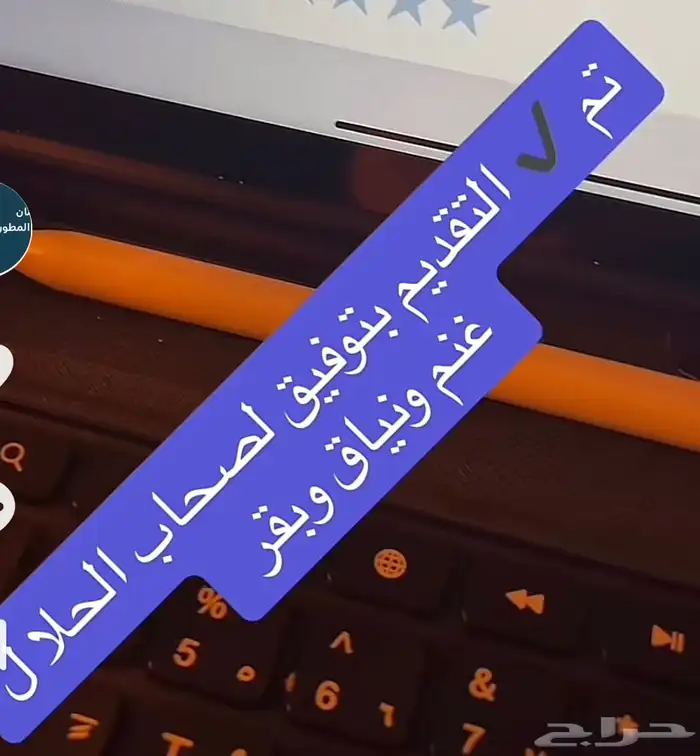 رفع ترقيم دعم المواشي 4