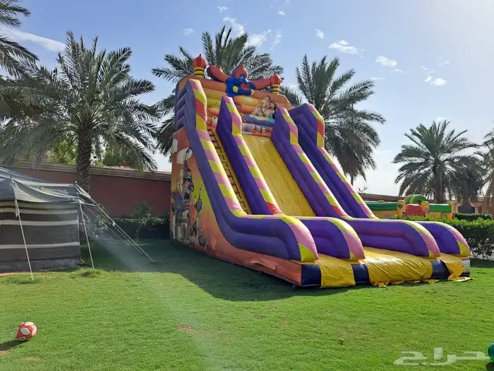 أجار نطيطه وزحليقة 12