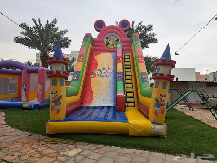 أجار نطيطه وزحليقة 33