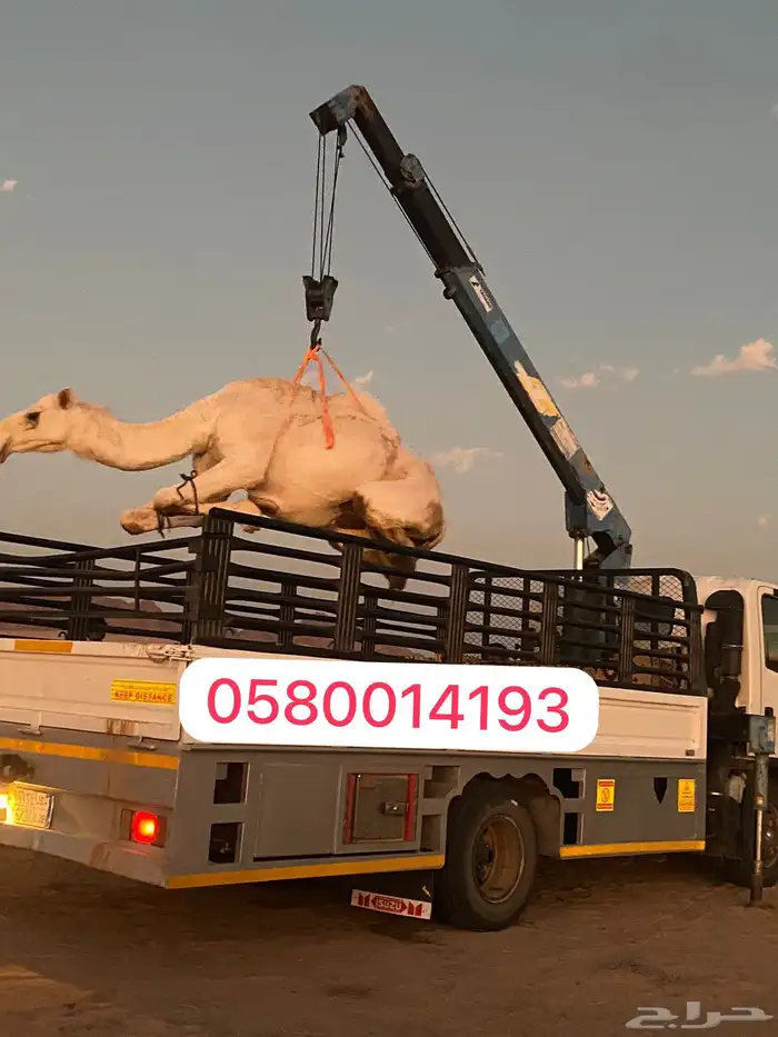 دناء لتحميل داخل الحناكيه وخارجها 0