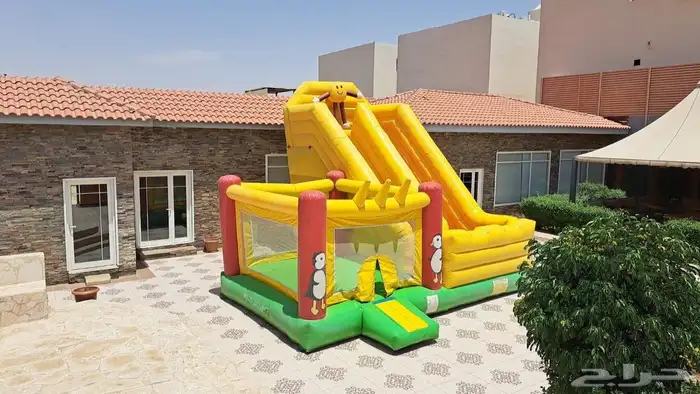 أجار نطيطه وزحليقة 28