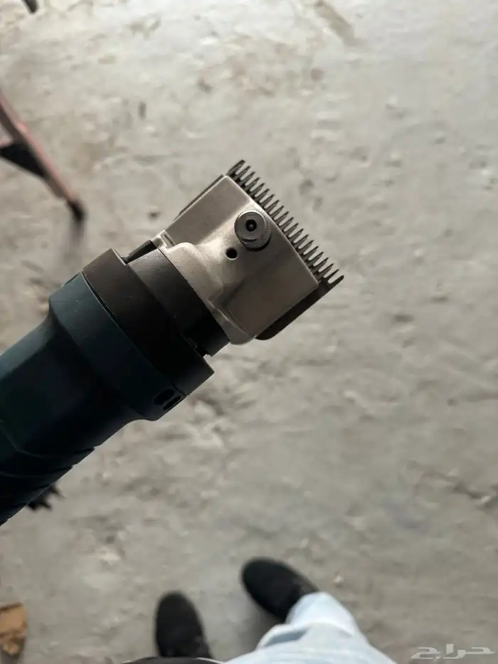 مكينة حلاقة غنم 2