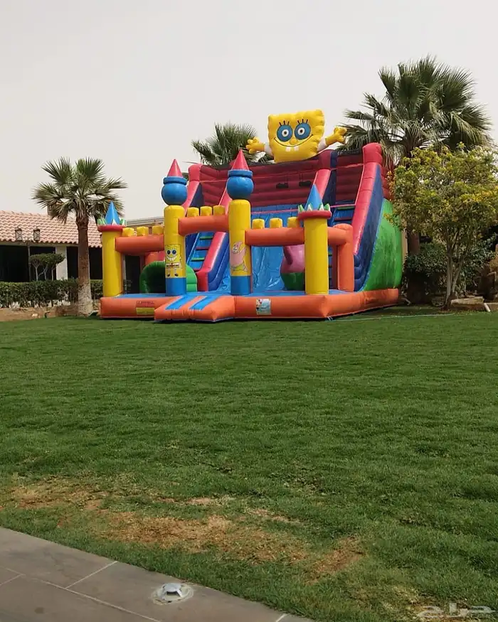 أجار نطيطه وزحليقة 43