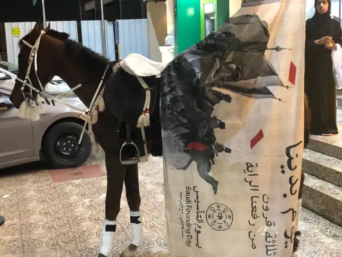 ايجار سيسي بوني خيل 5