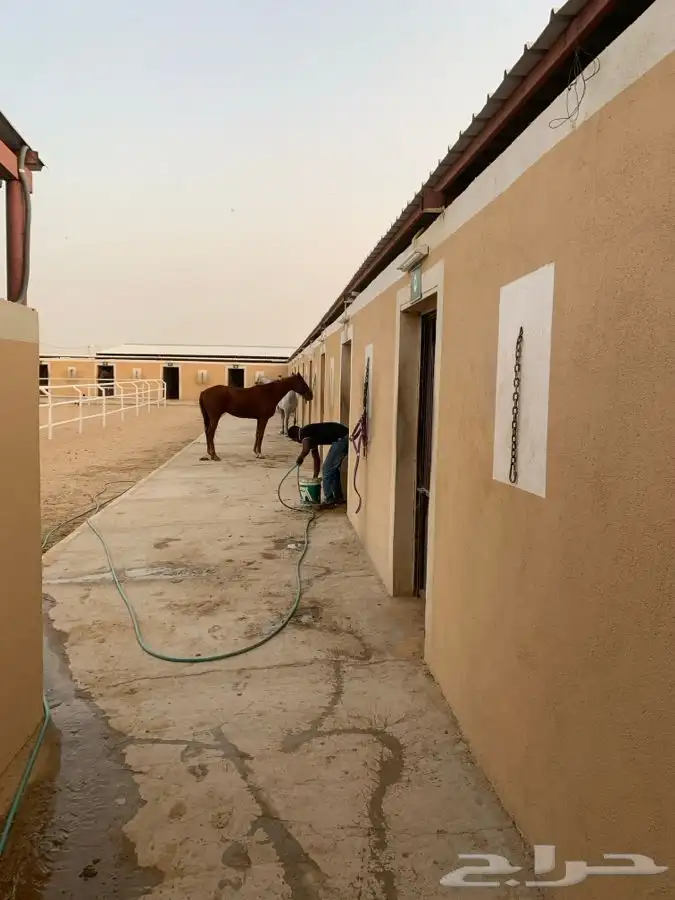 اسطبلين في ارضيه وحده للبيع 13