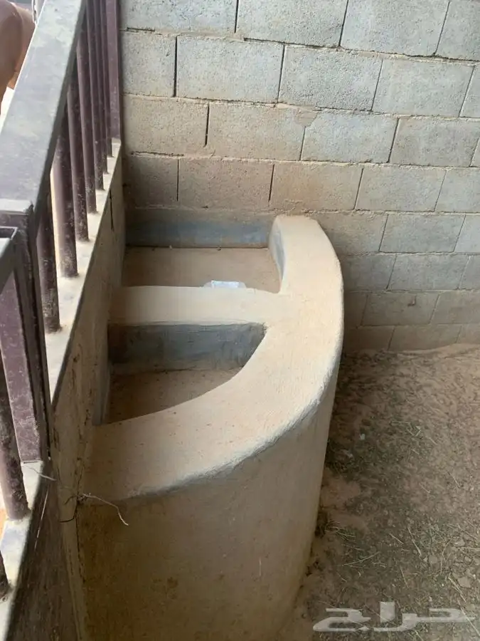 اسطبلين في ارضيه وحده للبيع 10
