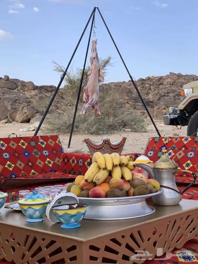 طباخ متنقل 0