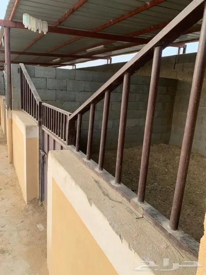 اسطبلين في ارضيه وحده للبيع 7