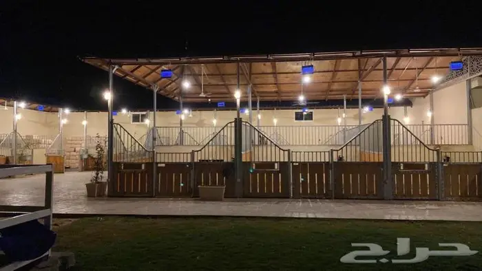استراحة وشاليه إيواء خيل بشمال الرياض حي الخير 2