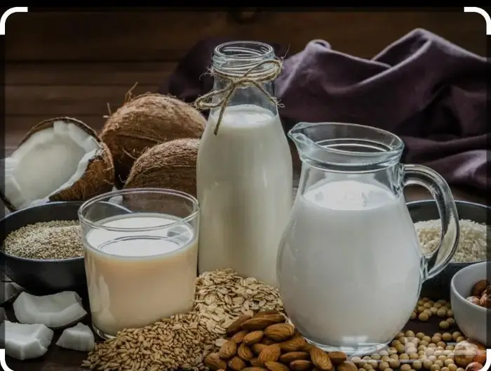 ألبان ماعز ريف نجد 3