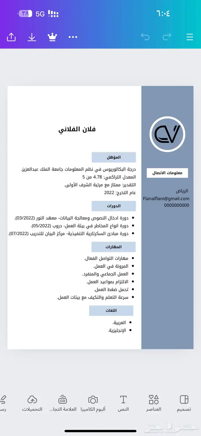 سيرة ذاتية احترافية خدمات الكترونية ATS 3