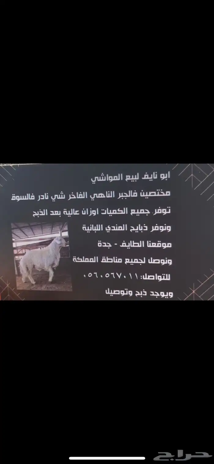 طائفية نوادر جدة حري نجدي سواكني 36