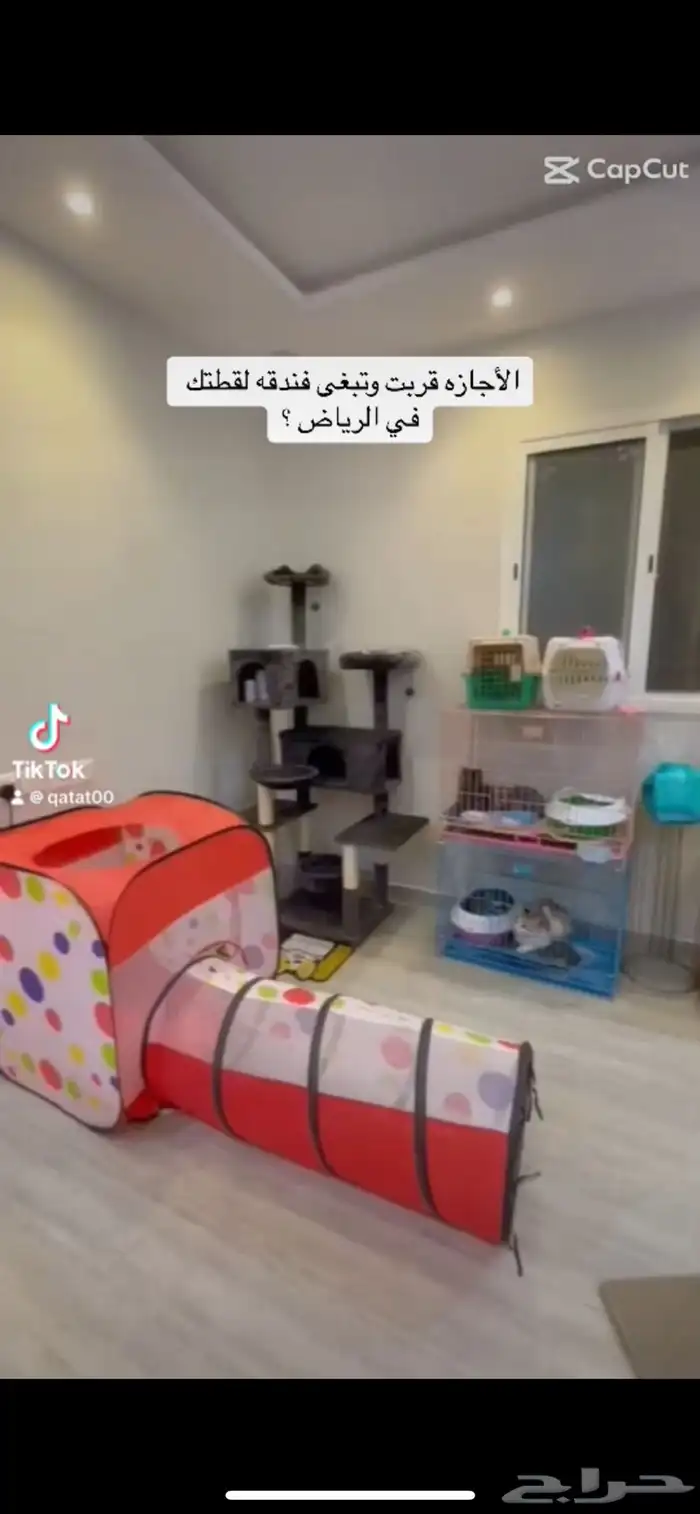 فندقة قطط الرياض 0