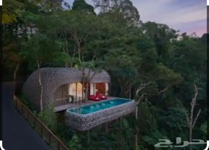 استخراج فيزا تايلاند 2