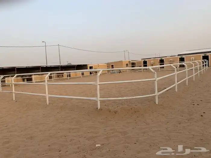 اسطبلين في ارضيه وحده للبيع 12
