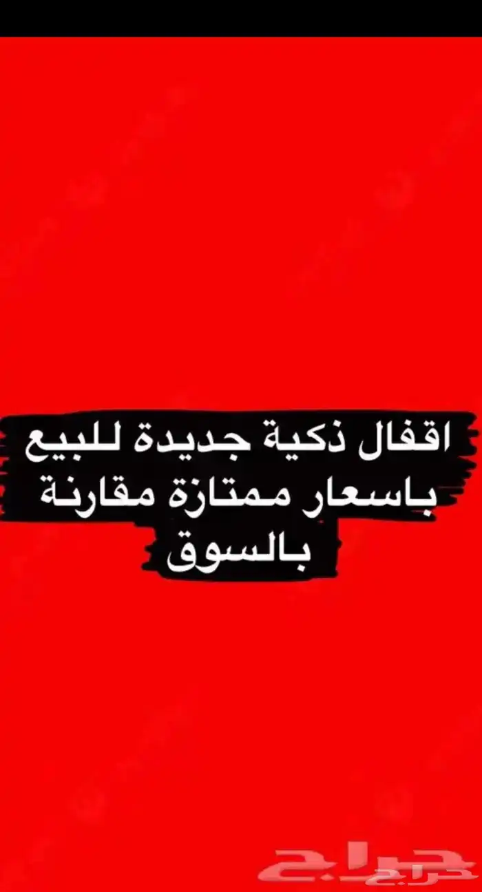 بصمه ذكي للابواب 2