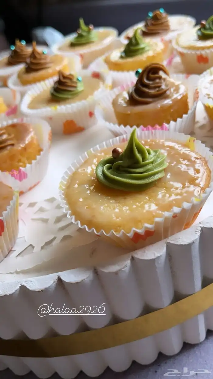 تشيز كيك وبسبوسة ميني توزيعات سويت فلاور تبوك 1