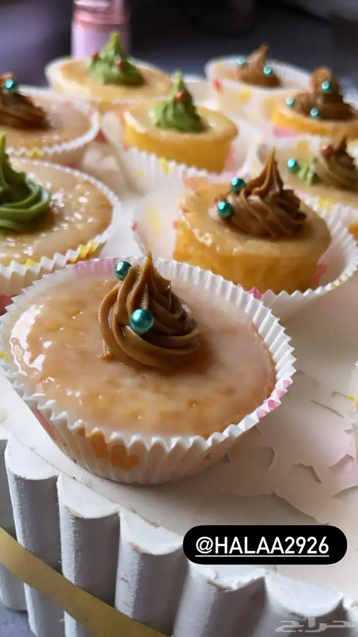 تشيز كيك وبسبوسة ميني توزيعات سويت فلاور تبوك 0