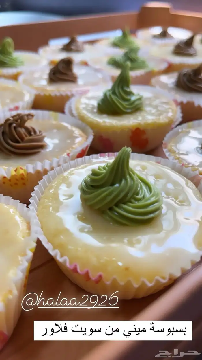 تشيز كيك وبسبوسة ميني توزيعات سويت فلاور تبوك 5