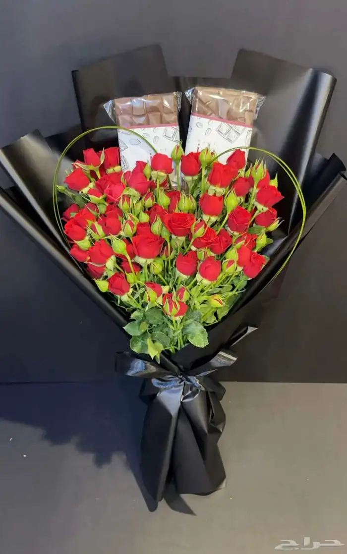 الرياض 23