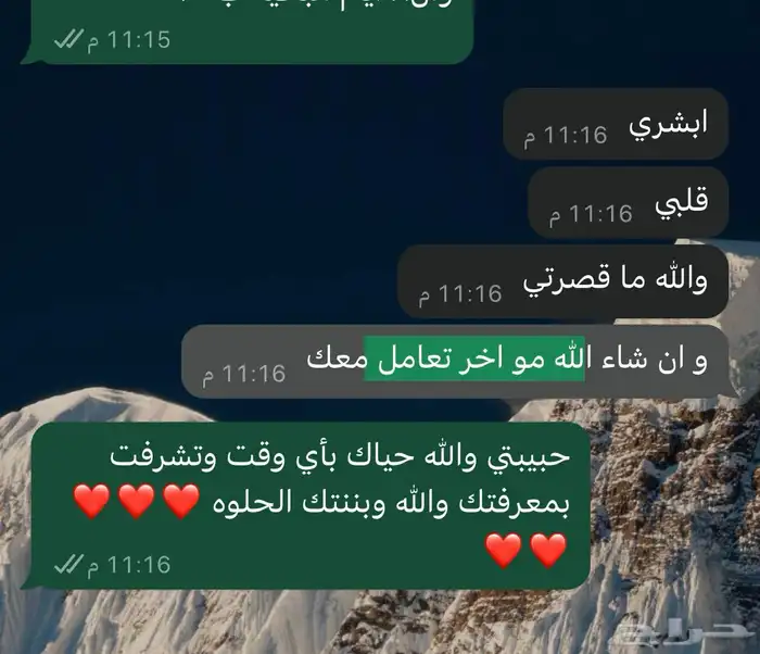 فندقة قطط الرياض 21