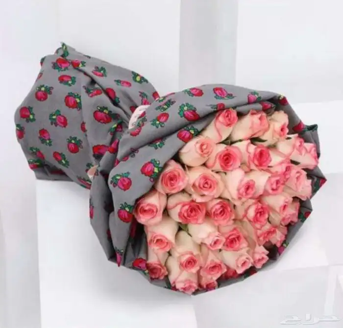 الرياض 77