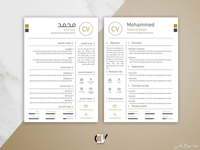 تصميم سيره ذاتيه (CV) بطريقه احترافيه متوافقه مع نظام ats 0