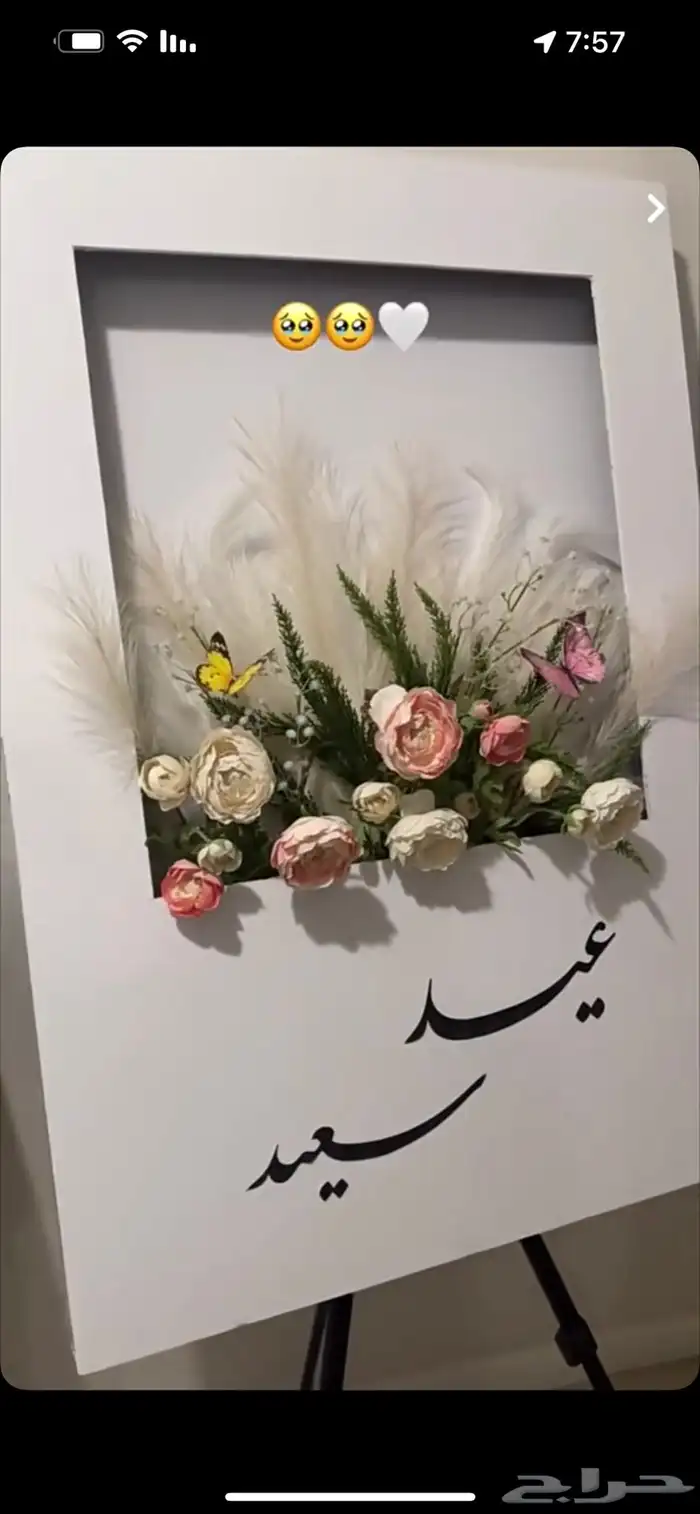 الرياض 49