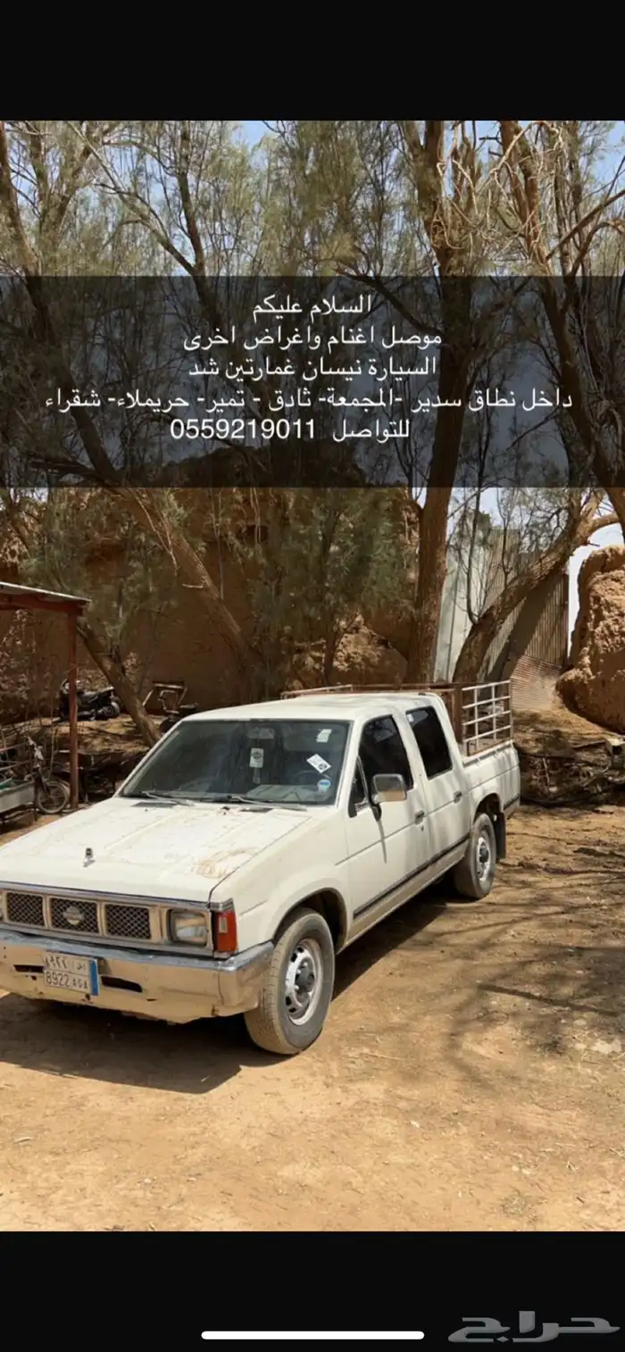 توصيل اغنام 0