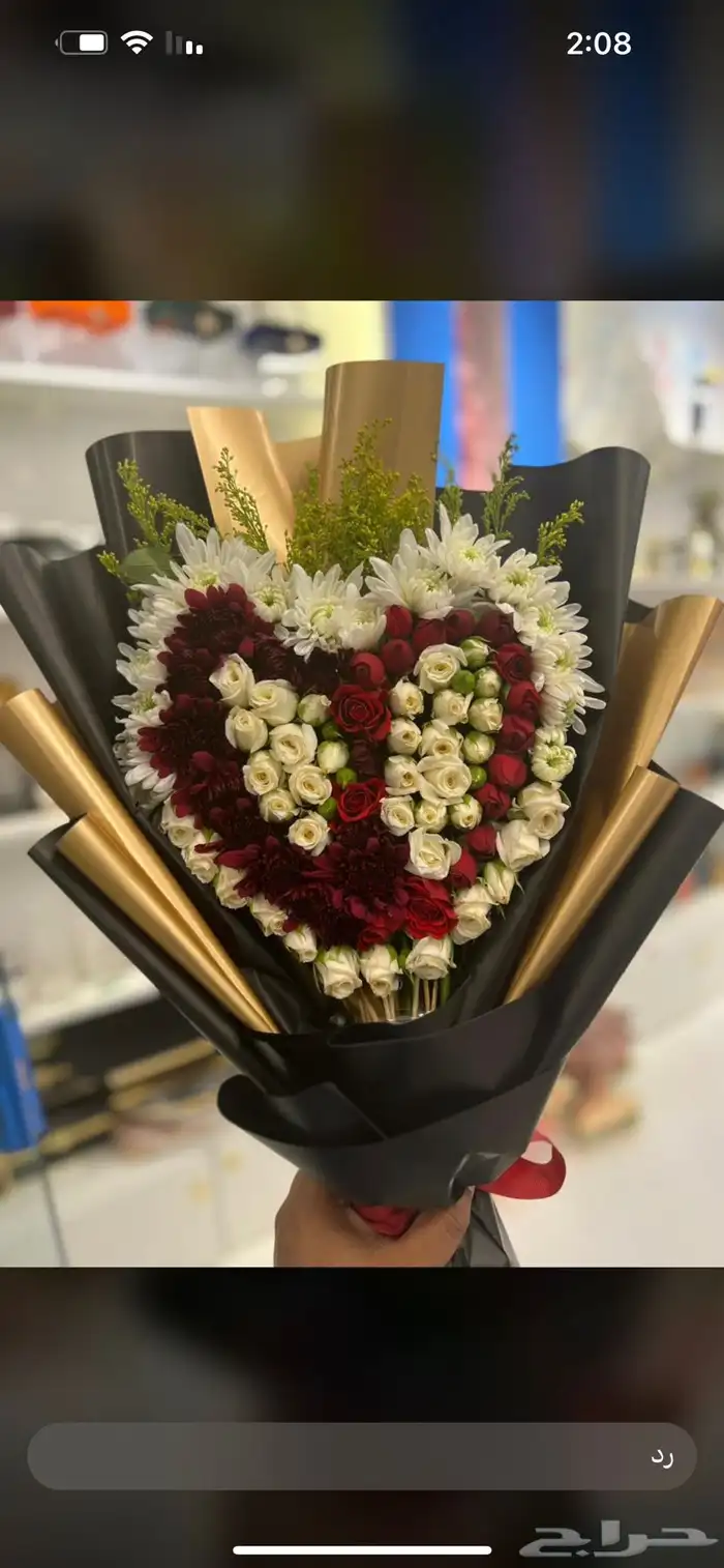 الرياض 84