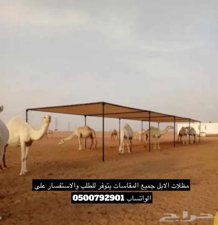 للبيع بيوت شعر وخيام ومجالس ومظلات سياره ومظلات حلال 37
