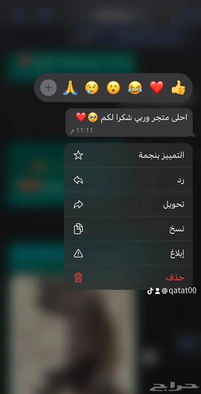 فندقة قطط الرياض 19