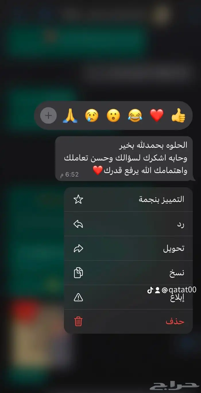 فندقة قطط الرياض 11