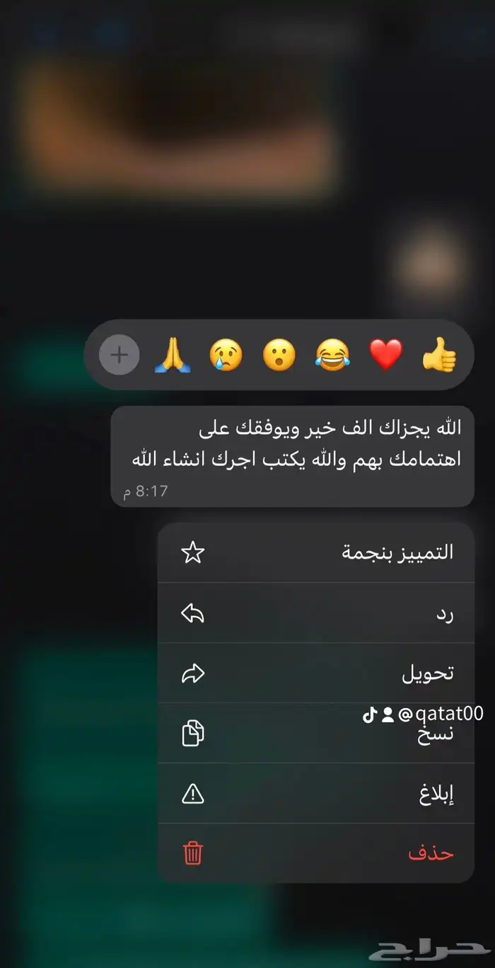 فندقة قطط الرياض 18