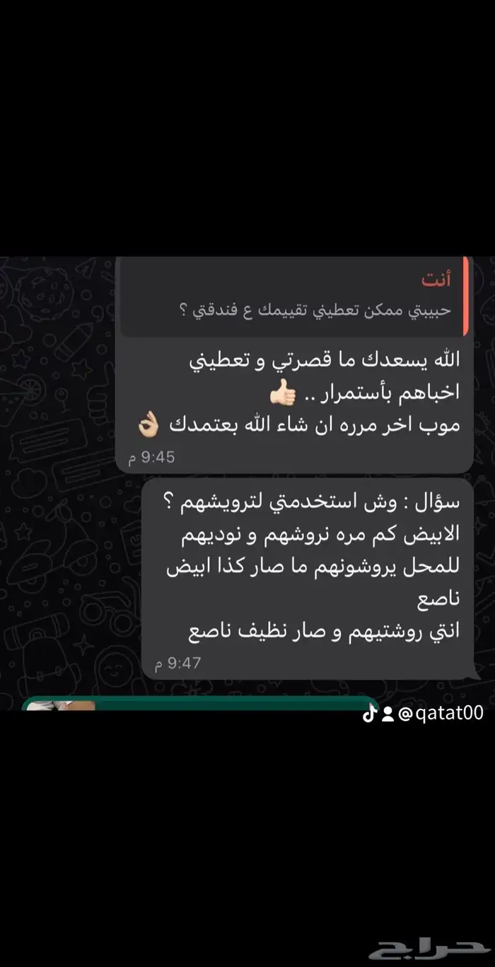 فندقة قطط الرياض 10