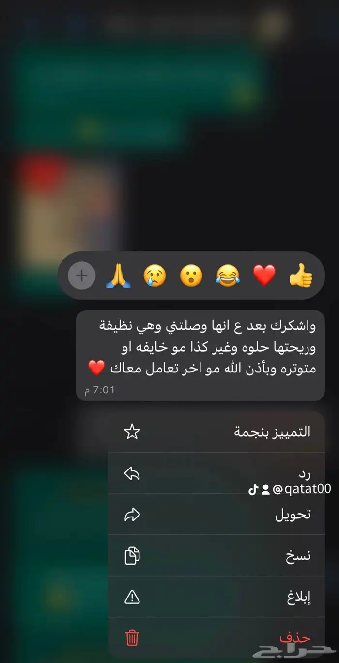 فندقة قطط الرياض 12