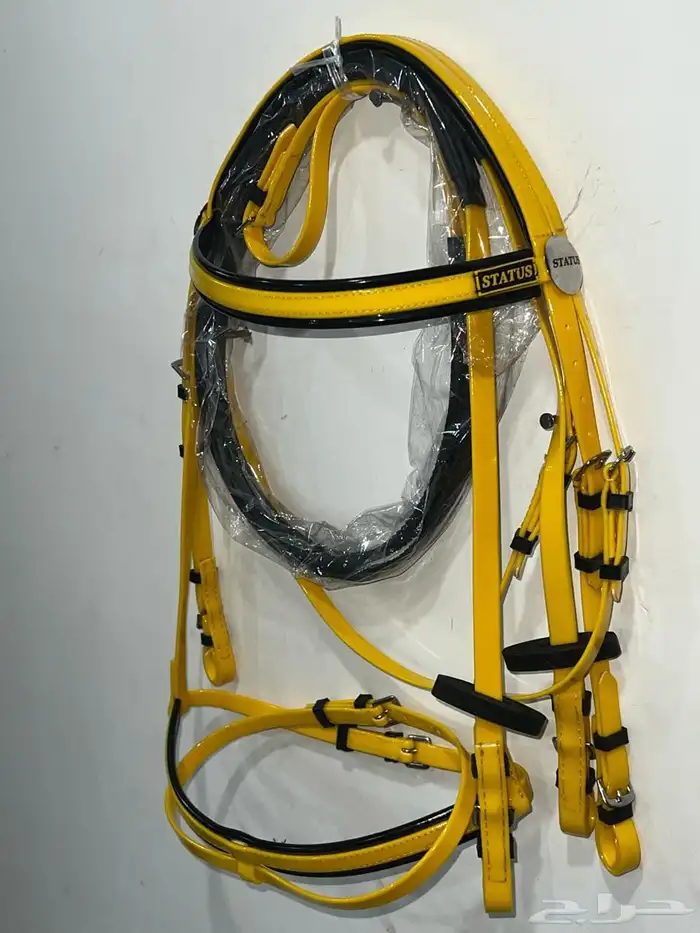 الجمة ستيتوس STATUS اصلي 0