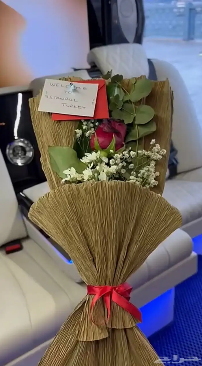الرياض 19