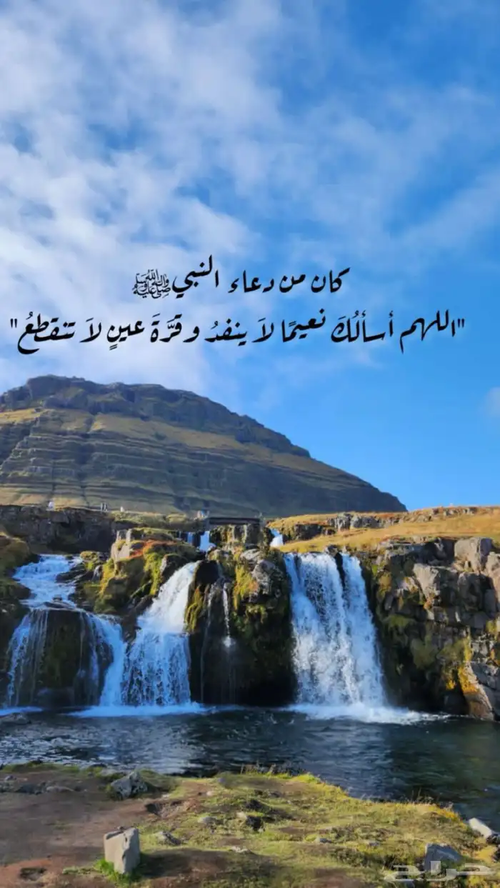 توصيل كمبليت من المدينه جدة 0