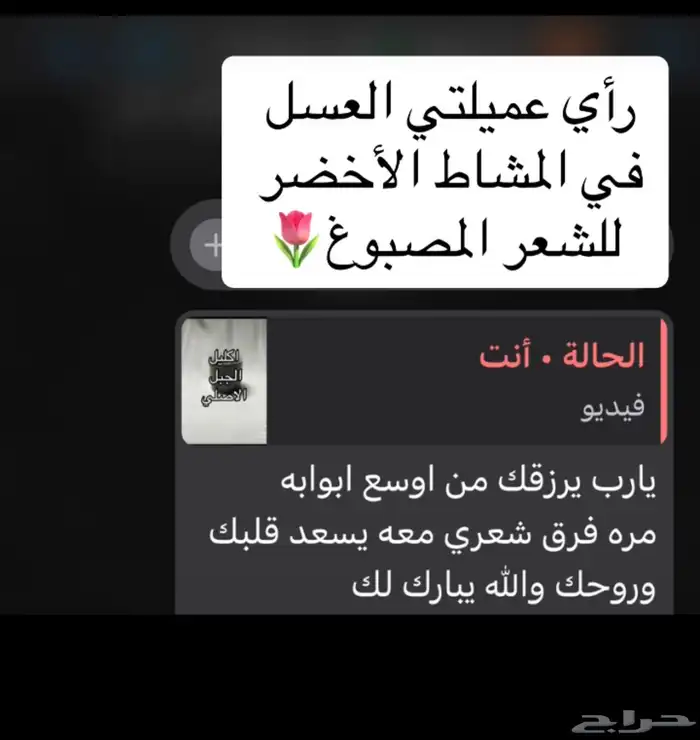 المشاط الأخضر للشعر المصبوغ 2