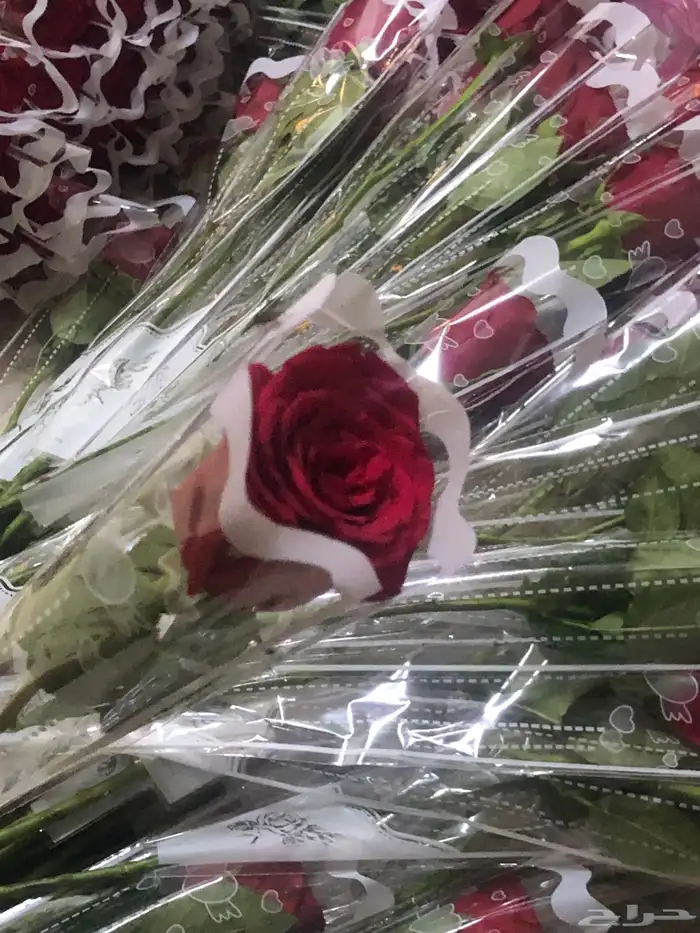 فل عقود للعرسان وورود طبيعيه وشتلات للتواصل اتصال أوواتساب 73