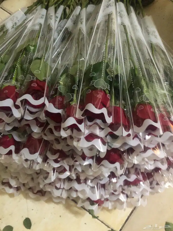 فل عقود للعرسان وورود طبيعيه وشتلات للتواصل اتصال أوواتساب 72