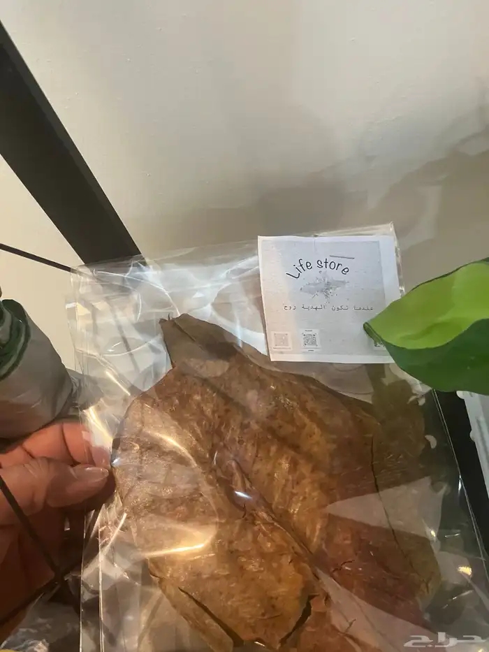 مستلزمات اسماك 4