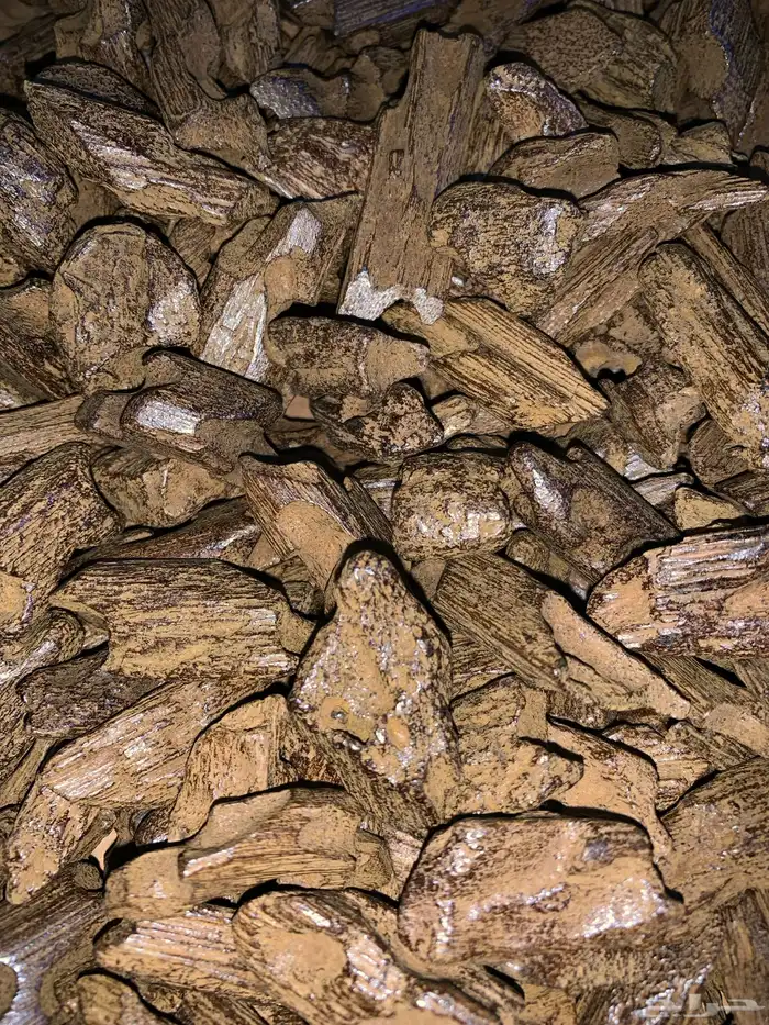 عود كلمنتان طبيعي 1