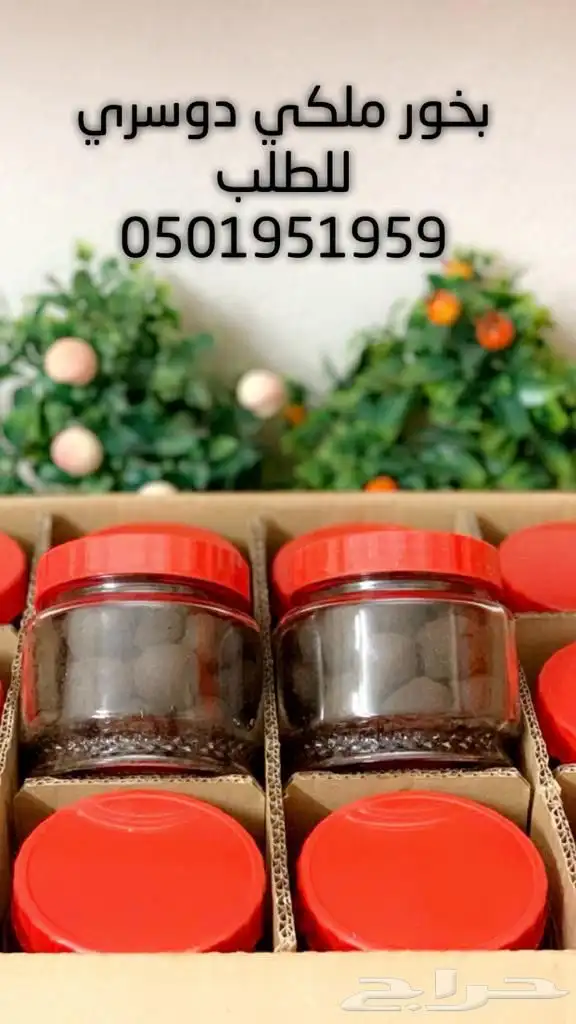 بخور ملكي دوسري درجة اولى ع الشرط 2