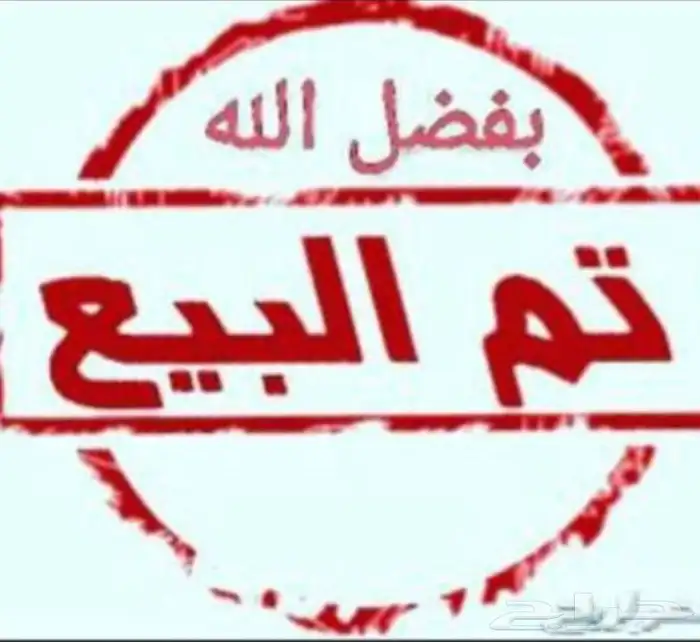 فرخ درة للبيع 3
