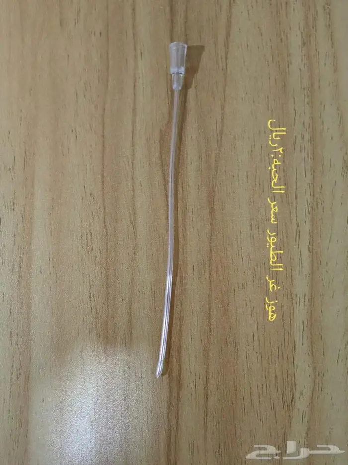علف و اكل غر و مستلزمات 6