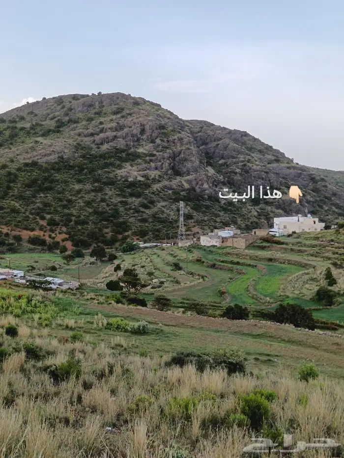 بيت ريفي في السوده قريه القصير للإيجار 15